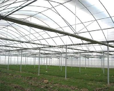 中聯(lián)塑料蔬菜大棚膜 價格與應(yīng)用解析