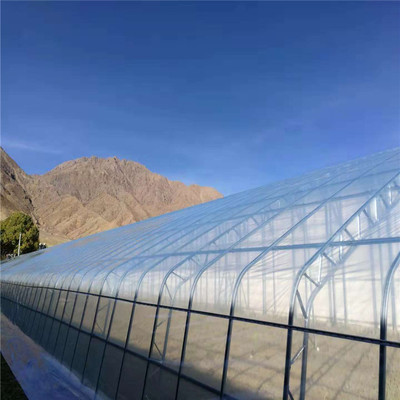 連棟薄膜溫室大棚 現(xiàn)代設(shè)施農(nóng)業(yè)值得信賴的堅實伙伴