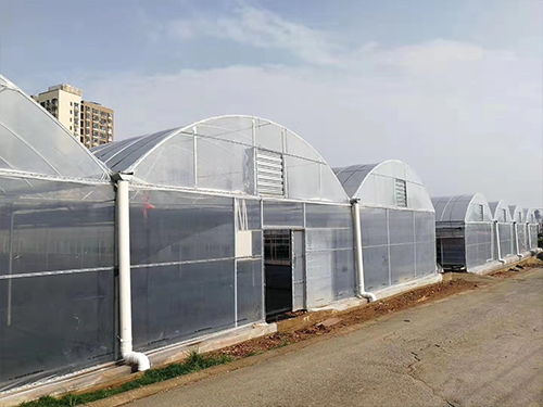 夢洋溫室薄膜 專業(yè)訂制，助力花卉溫室高產高效