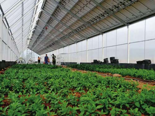 楚宏農業(yè) 專業(yè)打造昆明溫室大棚，助力高原特色農業(yè)發(fā)展