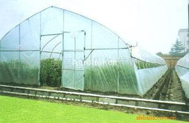 622型單體鋼管溫室大棚薄膜 技術(shù)特點(diǎn)與應(yīng)用優(yōu)勢