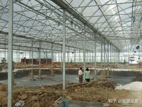 現(xiàn)代設(shè)施農(nóng)業(yè)的基石 薄膜連棟溫室大棚全面解析