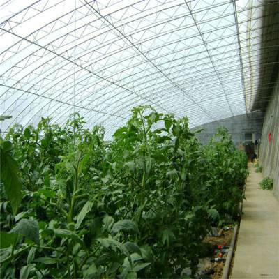 鋼結(jié)構(gòu)薄膜大棚工程造價(jià)解析及優(yōu)質(zhì)供應(yīng)商推薦——以七洲種植花卉為例